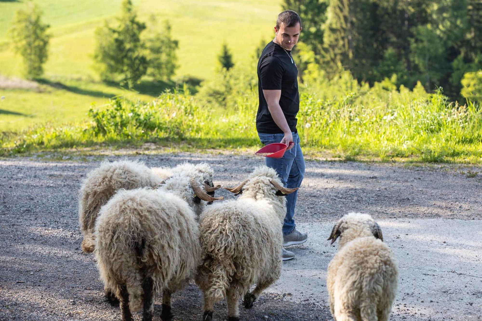 Ferienwohnung Kagerer Gutau Zewnętrze zdjęcie